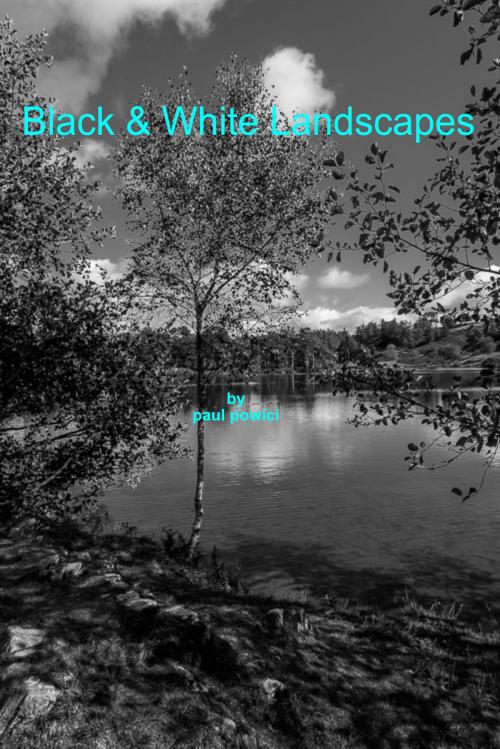 Cover of the book Black&White Landscapes by Paul Powici, Paul Powici