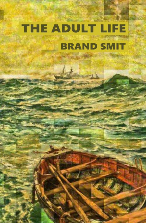 Cover of the book The Adult Life by Brand Smit, Brand Smit