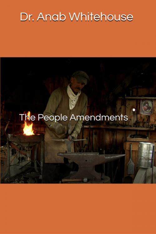 Cover of the book The People Amendments by Anab Whitehouse, Anab Whitehouse