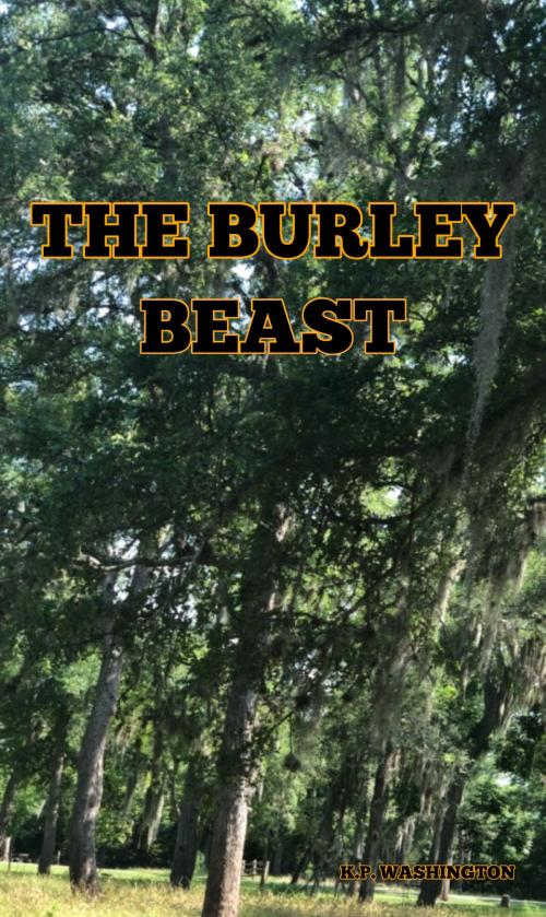 Cover of the book The Burley Beast by K.P. Washington, K.P. Washington