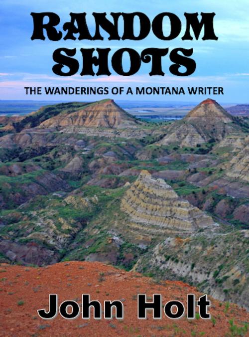 Cover of the book Random Shots by John Holt, AbsolutelyAmazingEbooks.com
