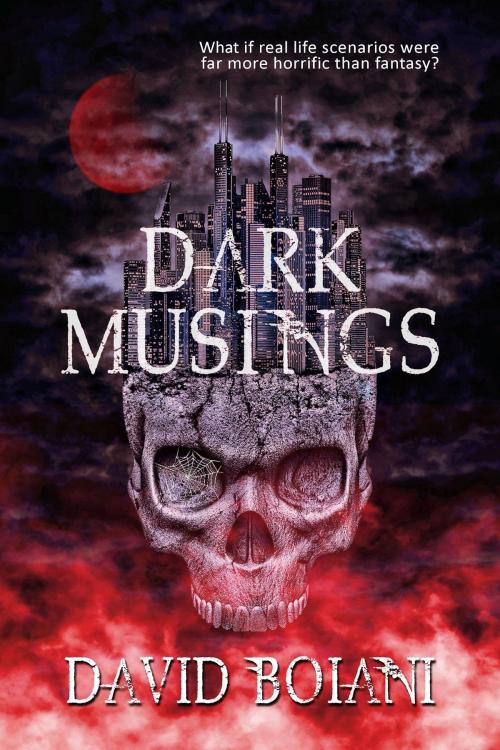 Cover of the book Dark Musings by David Boiani, Foundations, LLC