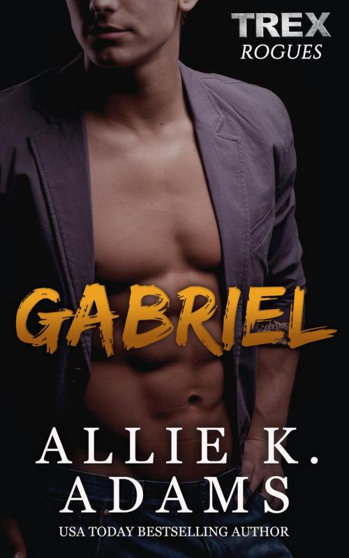 Cover of the book Gabriel by Allie K. Adams, Allie K. Adams