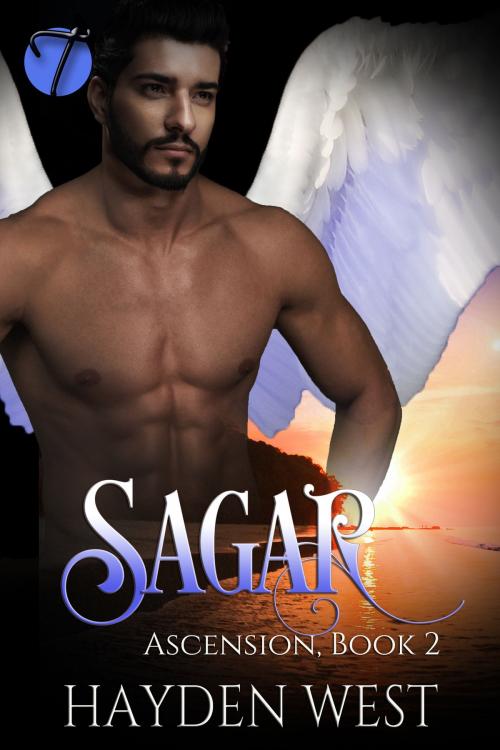 Cover of the book Sagar by Hayden West, Twisted E-Publishing