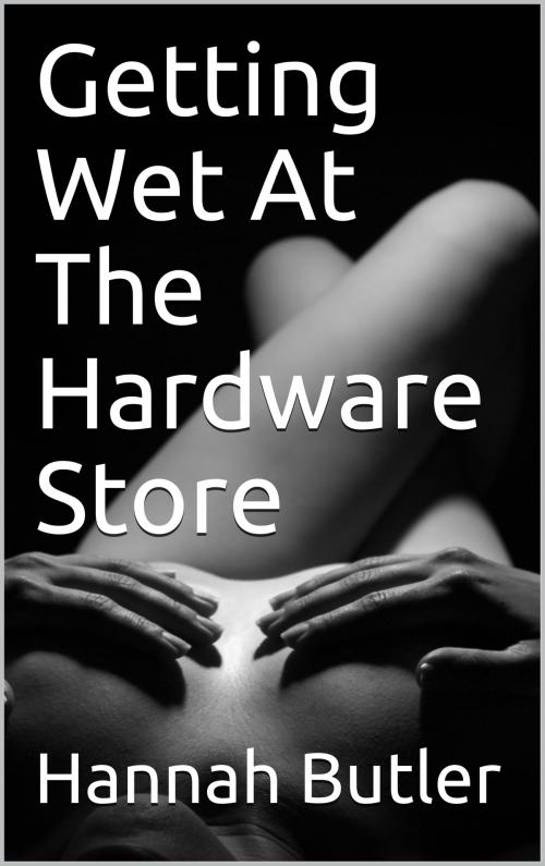 Cover of the book Getting Wet At The Hardware Store by Hannah Butler, Charlie Bent