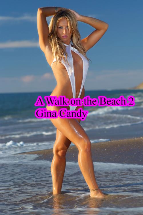 Cover of the book A Walk on the Beach 2 by Gina Candy, Gina Candy