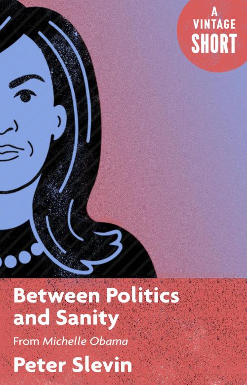 Cover of the book Between Politics and Sanity by Peter Slevin, Knopf Doubleday Publishing Group