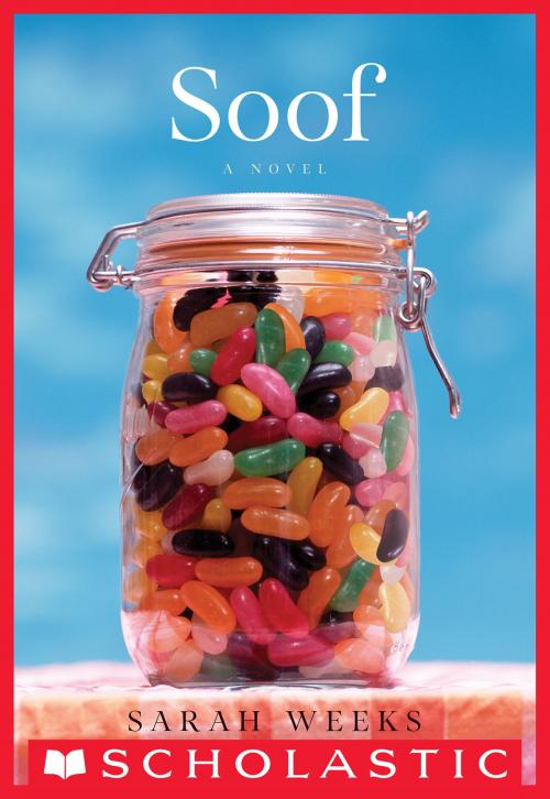Cover of the book Soof by Sarah Weeks, Scholastic Inc.