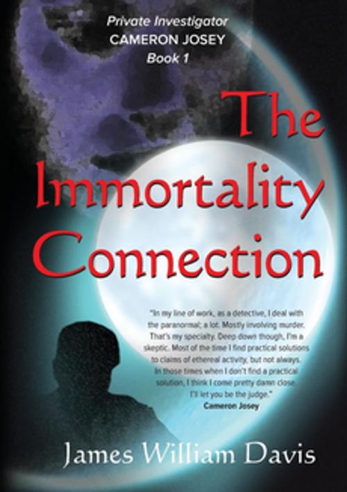 Cover of the book The Immortality Connection by James William Davis, James William Davis