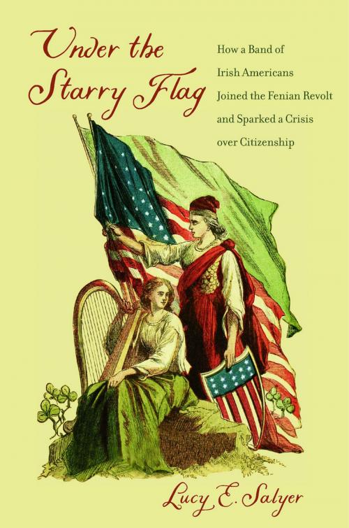 Cover of the book Under the Starry Flag by Lucy E. Salyer, Harvard University Press