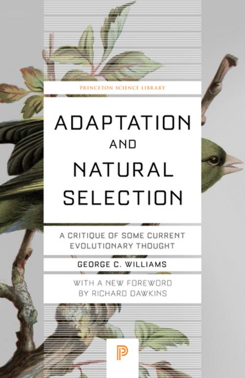 Cover of the book Adaptation and Natural Selection by George Christopher Williams, Princeton University Press