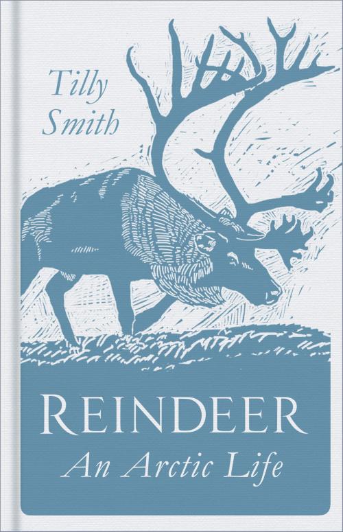 Cover of the book Reindeer by Tilly Smith, The History Press