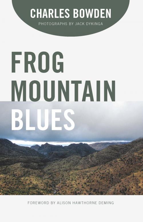 Cover of the book Frog Mountain Blues by Charles Bowden, University of Arizona Press