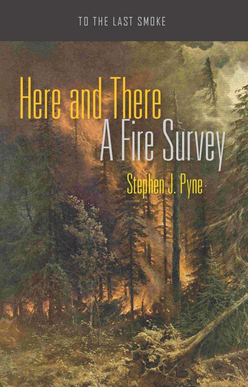 Cover of the book Here and There by Stephen J. Pyne, University of Arizona Press