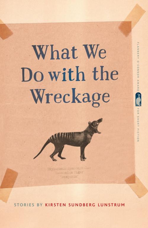 Cover of the book What We Do with the Wreckage by Kirsten Sundberg Lunstrum, Lee Abbott, University of Georgia Press