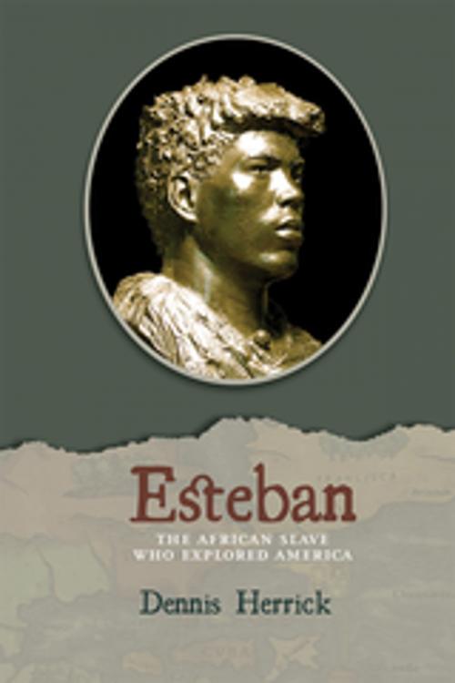 Cover of the book Esteban by Dennis Herrick, University of New Mexico Press