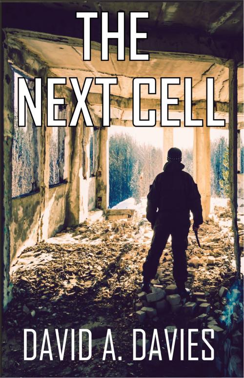 Cover of the book The Next Cell by David A. Davies, David A. Davies