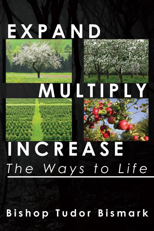 Cover of the book Expand, Multiply, Increase: The Ways to Life by Tudor Bismark, BookBaby