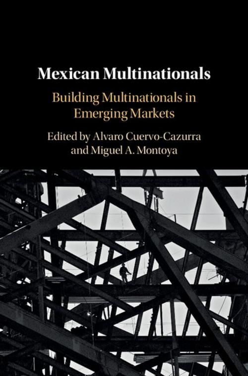 Cover of the book Mexican Multinationals by , Cambridge University Press