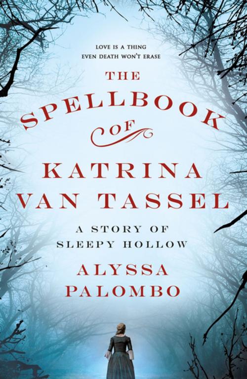 Cover of the book The Spellbook of Katrina Van Tassel by Alyssa Palombo, St. Martin's Press