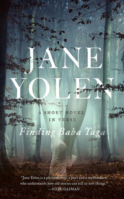 Cover of the book Finding Baba Yaga by Jane Yolen, Tom Doherty Associates