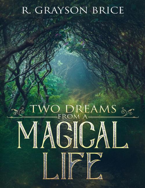 Cover of the book Two Dreams from a Magical Life by R. Grayson Brice, Lulu.com