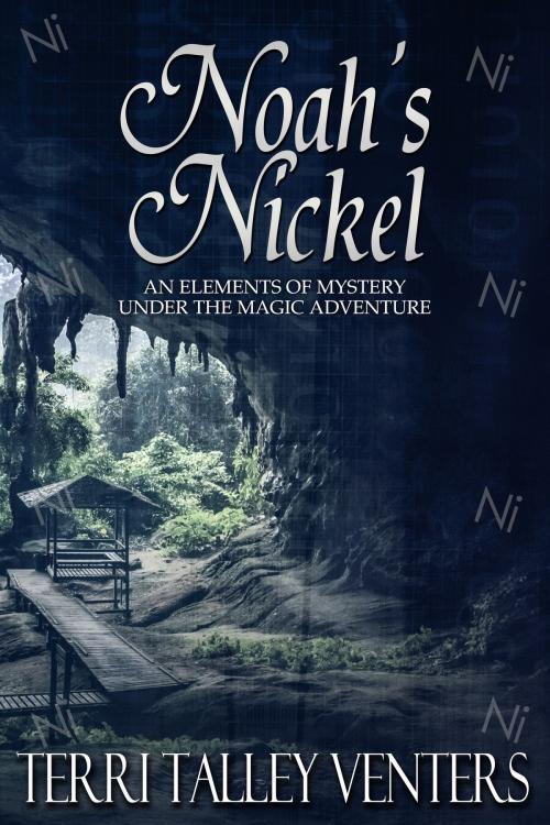 Cover of the book Noah's Nickel by Terri Talley Venters, Terri Talley Venters
