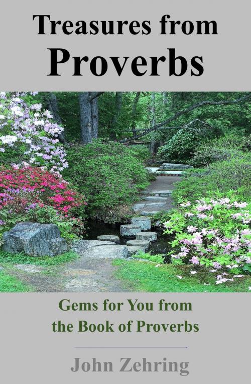 Cover of the book Treasures from Proverbs: GEMS for You from the Book of Proverbs by John Zehring, John Zehring
