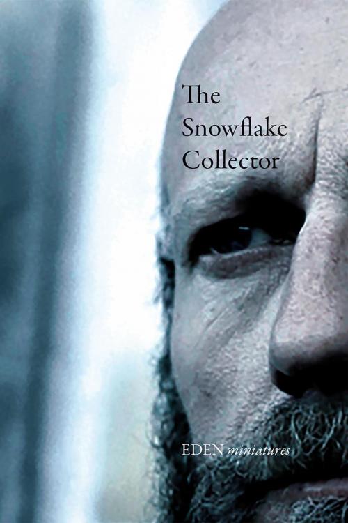 Cover of the book The Snowflake Collector by FREI, Optimist Books by Optimist Creations