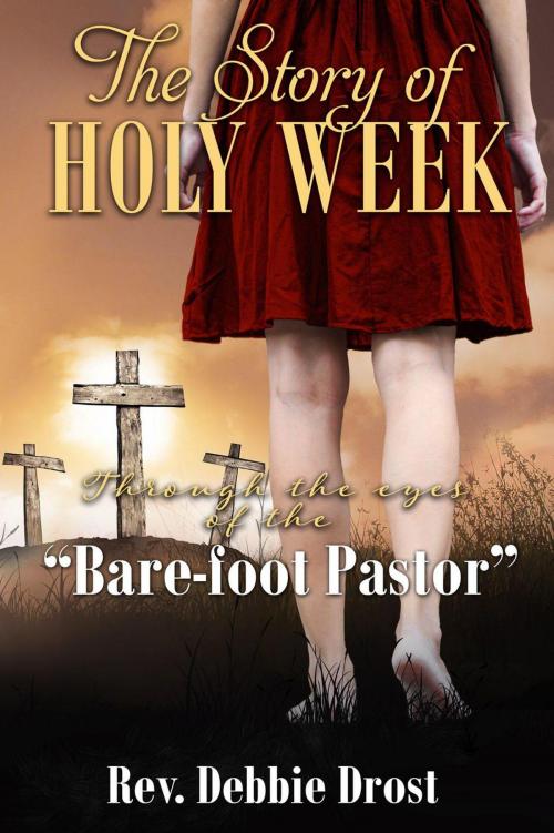 Cover of the book The Story of Holy Week by Rev. Debbie Drost, BrixBaxter Publishing