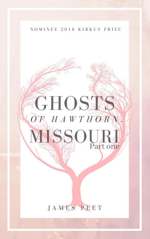 Cover of the book The Ghosts of Hawthorn Missouri: Part One by James Peet, Persimmon