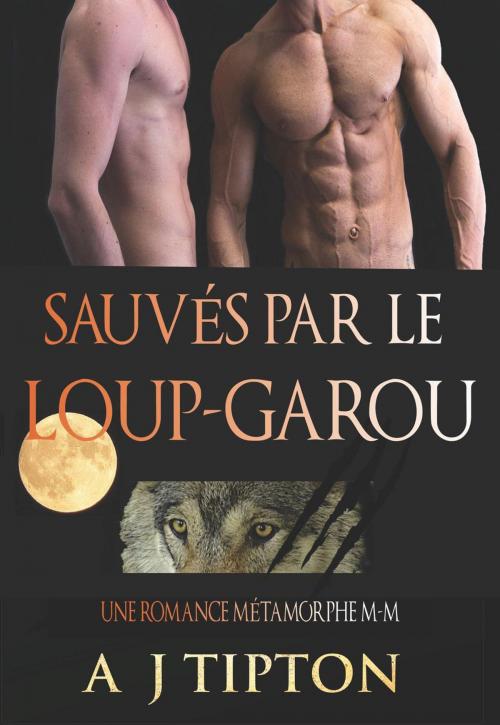 Cover of the book Sauvés par le Loup-Garou: Une Romance Métamorphe M-M by AJ Tipton, AJ Tipton Enterprises, LLC