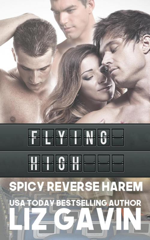 Cover of the book Flying High by Liz Gavin, Elessar Books LLC