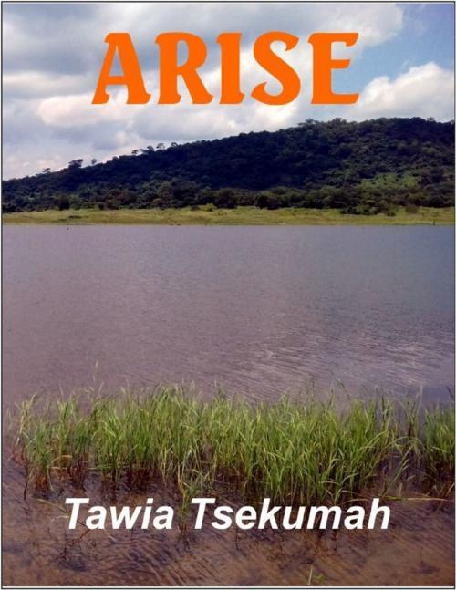 Cover of the book Arise by Tawia Tsekumah, Lulu.com