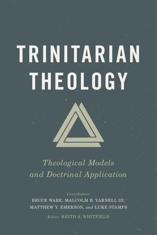 Cover of the book Trinitarian Theology by , B&H Publishing Group