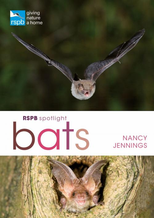 Cover of the book RSPB Spotlight Bats by Nancy Jennings, Bloomsbury Publishing