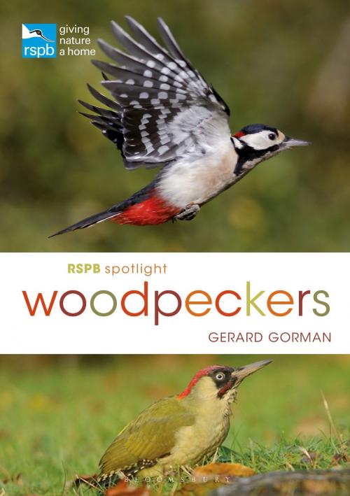 Cover of the book RSPB Spotlight Woodpeckers by Gerard Gorman, Bloomsbury Publishing