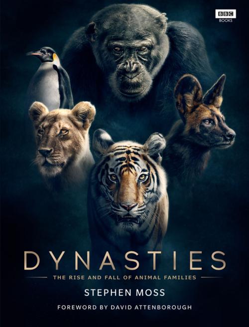 Cover of the book Dynasties by Stephen Moss, Ebury Publishing