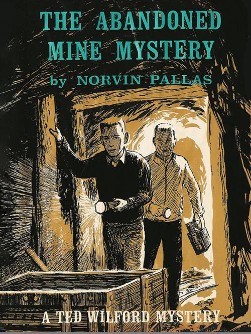 Cover of the book The Abandoned Mine Mystery (Ted Wilford #13) by Norvin Pallas, Wildside Press LLC