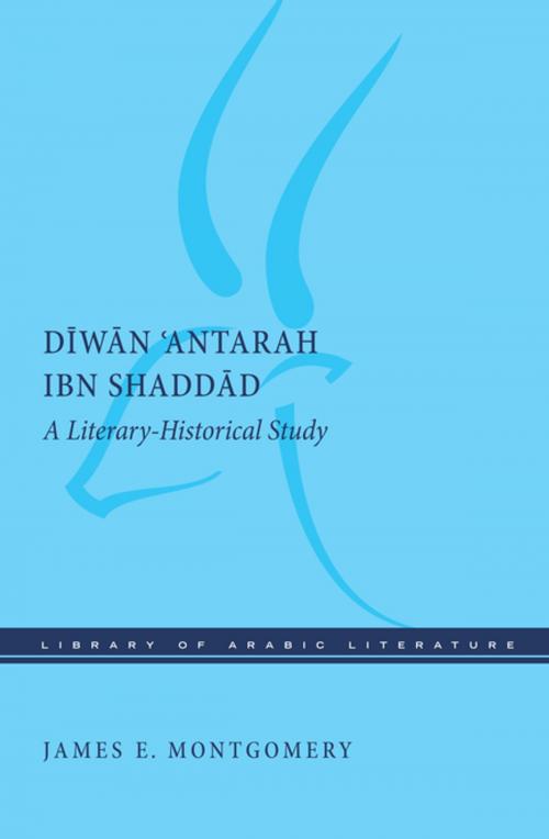 Cover of the book Diwan 'Antarah ibn Shaddad by James E. Montgomery, NYU Press