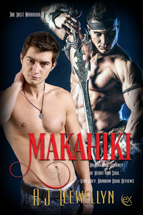 Cover of the book Makahiki by A.J. Llewellyn, eXtasy Books Inc