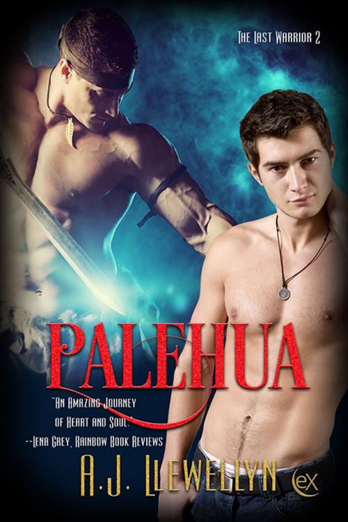 Cover of the book Palehua by A.J. Llewellyn, eXtasy Books Inc