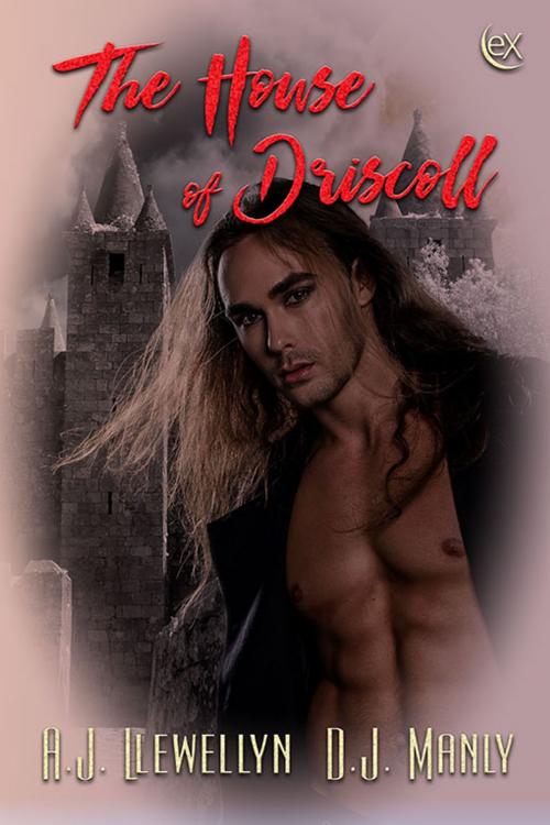 Cover of the book The House of Driscoll by A.J. Llewellyn, D.J. Manly, eXtasy Books Inc