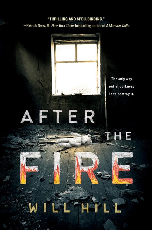 Cover of the book After the Fire by Will Hill, Sourcebooks