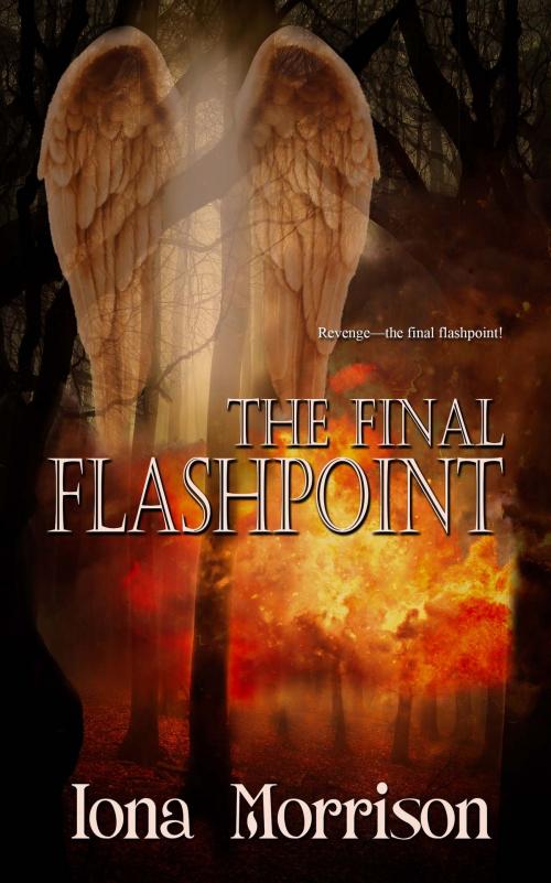 Cover of the book The Final Flashpoint by Iona Morrison, The Wild Rose Press, Inc.