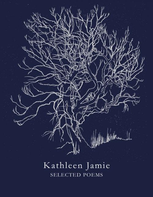 Cover of the book Selected Poems by Kathleen Jamie, Pan Macmillan