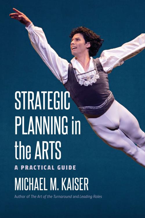 Cover of the book Strategic Planning in the Arts by Michael M. Kaiser, Brandeis University Press