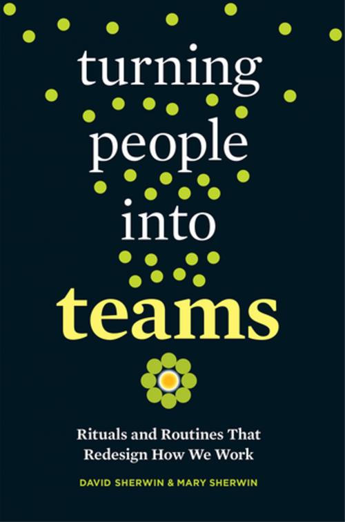Cover of the book Turning People into Teams by David Sherwin, Mary Sherwin, Berrett-Koehler Publishers