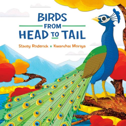 Cover of the book Birds from Head to Tail by Stacey Roderick, Kids Can Press