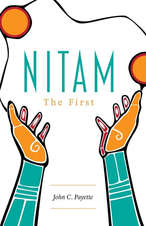 Cover of the book Nitam by John C. Payette, FriesenPress